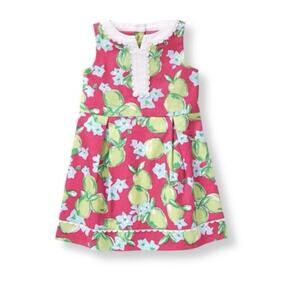 Janie and Jack South Beach Beauty Lime Print Dobby Dress Size 12-18m Sleeveless
